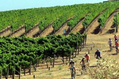 Guided E-Bike Tour of Temecula Wine Country Visit 3 Wineries with Lunch & Snacks Guided E-Bike Tour of Temecula Wine Country Visit 3 Wineries with Lunch & Snacks