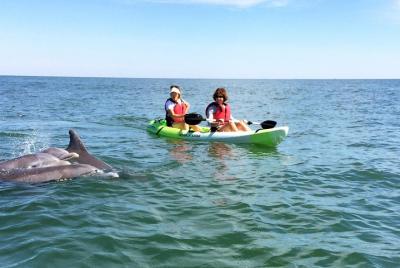 Small Group Dolphin Kayak Eco-Tour Small Group Dolphin Kayak Eco-Tour