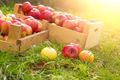 All-Inclusive, Autumn Weekend Tour for GROUPS of 10-16 All-Inclusive, Autumn Weekend Tour for GROUPS of 10-16