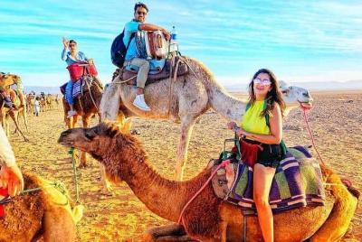 Day Trip to Desert Agafay & Atlas Mountains & Waterfalls & Camel  Day Trip to Desert Agafay & Atlas Mountains & Waterfalls & Camel
