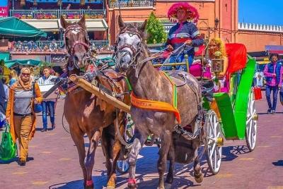 Marrakech By Horse Drawn Carriage and Spa Treatment 