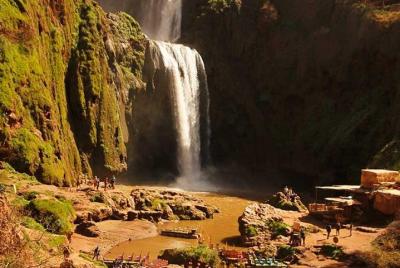 Day Trip to Ouzoud Waterfalls from Marrakech