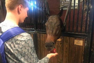 Private US Army and Pentagon Tour in Washington DC by Luxury Car