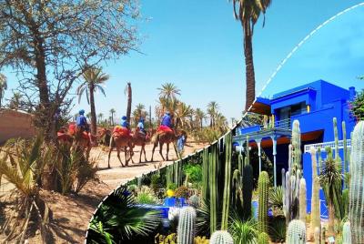 Best of Kech Tour: Majorelle Garden with Camel Ride in the Palms from Marrakech 