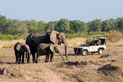 Small-Group Tour to Zambezi National Park Small-Group Tour to Zambezi National Park