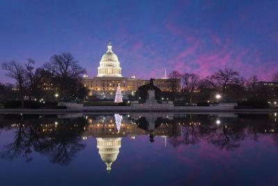 Washington DC Holiday Lights Sightseeing Tour