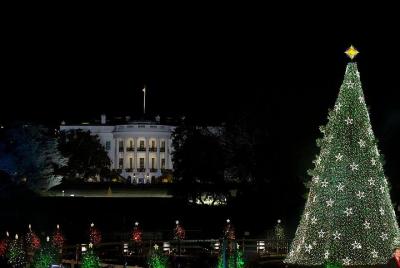 Washington DC Christmas Lights Walking Tour
