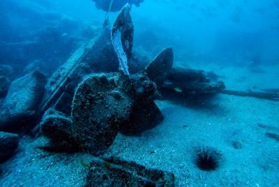 Short Fun Dive Trip - Fifi Wreck, Artificial Reef or Cut Wreck Short Fun Dive Trip - Fifi Wreck, Artificial Reef or Cut Wreck