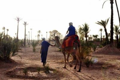 Marrakesh camel ride tour Marrakesh camel ride tour