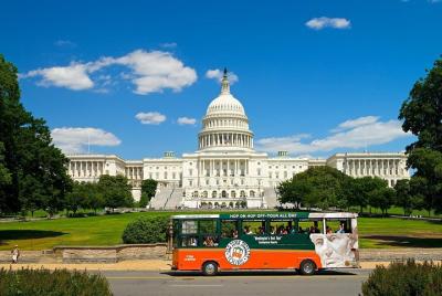 Washington DC Sightseeing Trolley Tour with 1 Stop