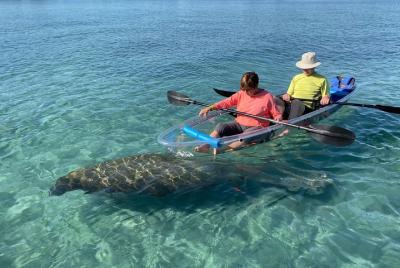 Clear Kayak Tour in Jupiter Clear Kayak Tour in Jupiter
