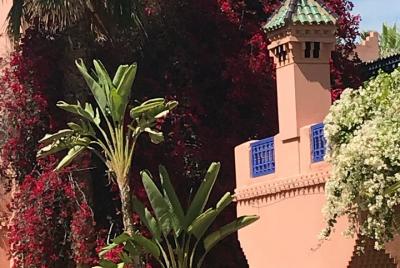 A visit to the gardens: Menara Garden Majoril Garden and the palm grove