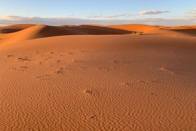 Sahara Desert 4-Day Tour from Marrakech