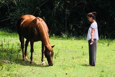 Full-Day Private Experience Wellness Program in Palm Beach