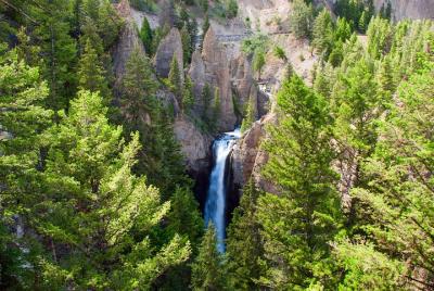 Full-Day Private Tour in Yellowstone National Park Full-Day Private Tour in Yellowstone National Park
