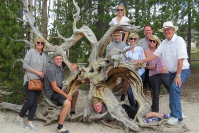Yellowstone National Park - PRIVATE Full-Day Lower Loop Tour from Yellowstone National Park - PRIVATE Full-Day Lower Loop Tour from