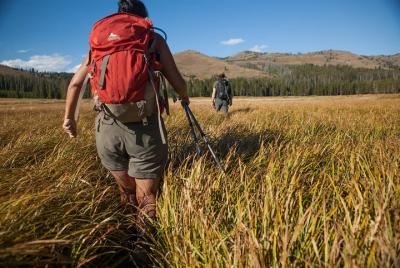 Full-Day Private Hike in Yellowstone National Park Full-Day Private Hike in Yellowstone National Park