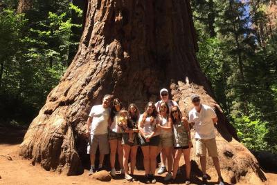 Off-Road Giant Sequoia 4x4 Tour Off-Road Giant Sequoia 4x4 Tour