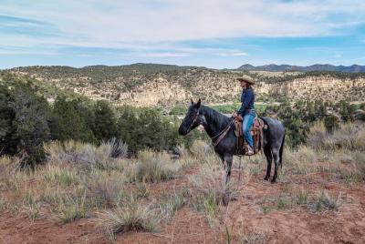 East Zion Horse Trail Riding - SUNSET & S East Zion Horse Trail Riding - SUNSET & S'MORES TOUR