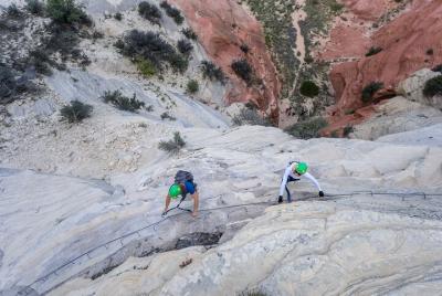East Zion Intro to Rock Climbing (Via Ferrata) & Rappelling Exper East Zion Intro to Rock Climbing (Via Ferrata) & Rappelling Exper