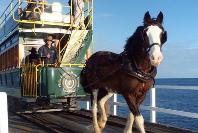 Full-Day Tour in South Australia Highlights Full-Day Tour in South Australia Highlights