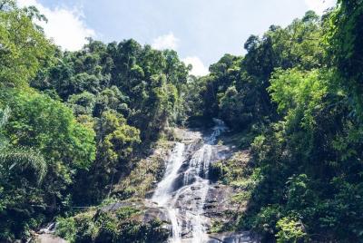 Discover Rio Green Lungs: Tijuca National Park  Discover Rio Green Lungs: Tijuca National Park
