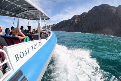 Southern Ocean Adventure from Victor Harbor