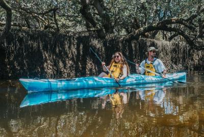 Kayak Tour in Adelaide Dolphin Sanctuary