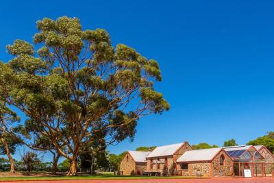 McLaren Vale and Glenelg Wine Tasting and Sightseeing (Half-day A McLaren Vale and Glenelg Wine Tasting and Sightseeing (Half-day A