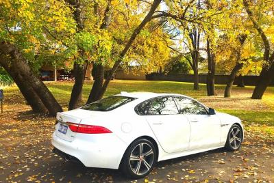 Luxury Jaguar Barossa Valley Half Day Private Tour For 2  Luxury Jaguar Barossa Valley Half Day Private Tour For 2