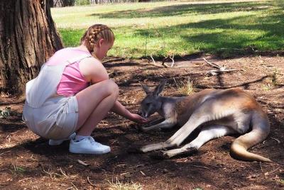 Adelaide Driving Tour