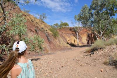 West MacDonnell Ranges Small-Group Full-Day Guided Tour
