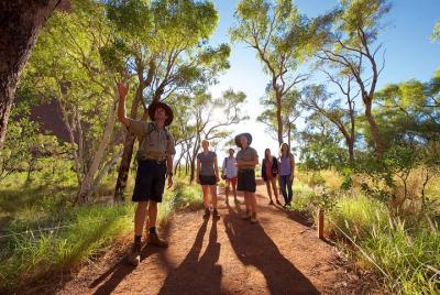 Uluru Small Group Tour including Sunset Uluru Small Group Tour including Sunset