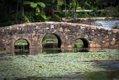 Online Photography Tuition