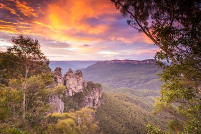 Ultimate Blue Mountains Private Tour including Scenic World and F Ultimate Blue Mountains Private Tour including Scenic World and F