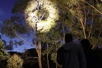 Wollemi Twilight Wildlife Tour Wollemi Twilight Wildlife Tour