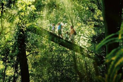 Lamington National Park, O Lamington National Park, O'Reilly's & Vineyard Tour