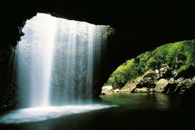 Natural Bridge & Springbrook Waterfalls Tour Natural Bridge & Springbrook Waterfalls Tour