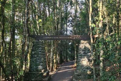O O'Reilly's and Binna Burra Full-Day Tour - Lamington National Par