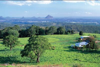 Full Day Sunshine Coast Hinterland Luxury Small Group Tour from B