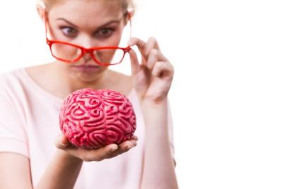 How to Survive a Zombie Apocalypse