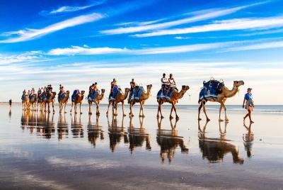 Broome Pre-sunset Camel Tour 30 minutes Broome Pre-sunset Camel Tour 30 minutes