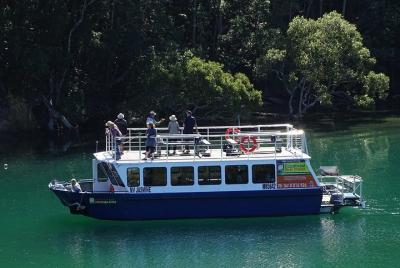 Morning Eco Rainforest River Cruise Morning Eco Rainforest River Cruise