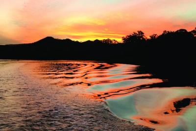 Brunswick Heads Sunset Rainforest Eco-Cruise Brunswick Heads Sunset Rainforest Eco-Cruise