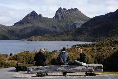 Cradle Mountain Tour from Burnie with Roundtrip Port Transfer 