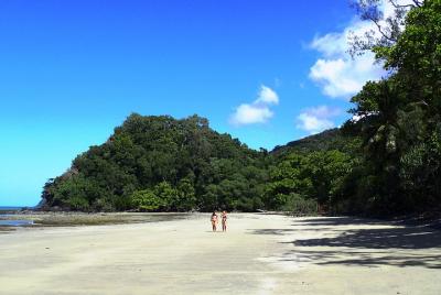 Cape Tribulation Day Tour from Cairns