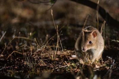 Twilight Tour Twilight Tour