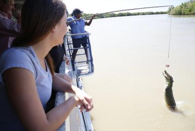 Darwin City Sights and Jumping Crocodile Cruise