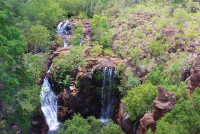 Jumping Crocodile Cruise and Berry Springs Nature Park