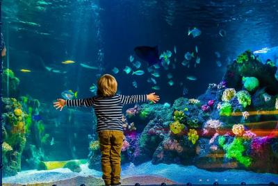 SEA LIFE Berlin Admission Ticket SEA LIFE Berlin Admission Ticket